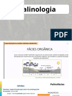 Micropaleontologia en PT