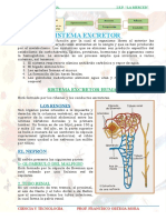 Sesion 13 - 2do Trim-Bio Re