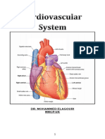 Cardiovascular System Elagouri Mohammed