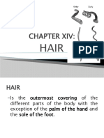 CHAPTER-14-HAIR