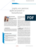 Fisioterapia en Perros, Aplicaciones y Beneficios