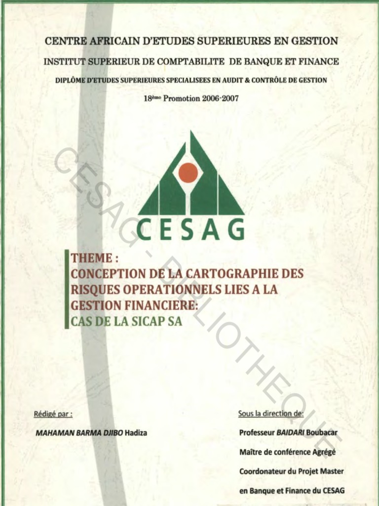 Cartographie des Risques Opérationnels | PDF | Risque | Risque opérationnel