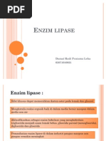 Download Enzim lipase by Mharzhukiq Bedboy Inginakanpastiberubah SN60175627 doc pdf