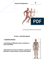 ColunaVertebral_Osteologia