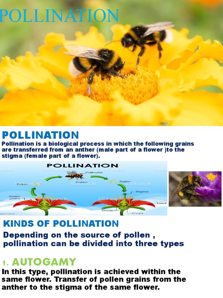Pollination | PDF