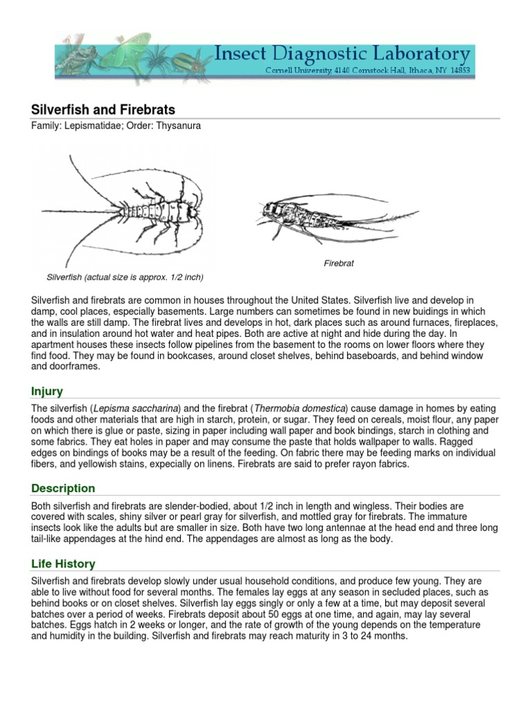 Silverfish and Firebrats: A Guide to Identification, Damage, Lifecycles ...