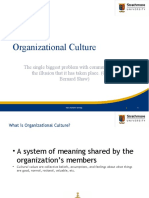 Organization Culture Comm 2
