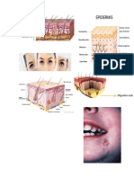 Tratamiento Facial Naye