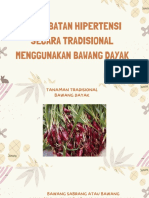 Pengobatan Hipertensi Secara Tradisional Menggunakan Bawang Dayak