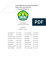 MAKALAH MATERNITAS 2 SEMINAR 1 KELAS A 2020.2 Salinan