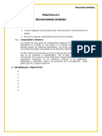 JP - Practica N°5