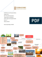 Esquema Gráfico ACTIVIDAD 11 Cambio Climático