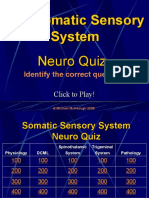 Sensory System Quiz