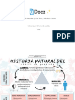Historia Natural Del Cancer de Prostata 306542 Downloable 1155832