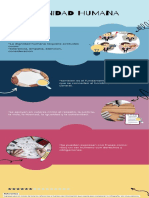 Infografía de Proceso Rompecabezas Sencillo Colorido