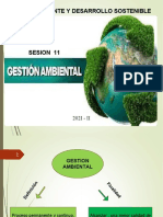 Semana 11. Gestion Ambiental