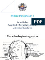 09-Indera Penglihatan I