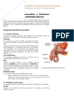 Anexo Aparato Genital AnatomIa FisiologIa y Patologias