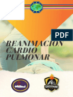 Reanimación Cardiopulmonar