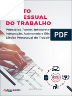 Principios Fontes Interpretacao Integracao Autonomia e Eficacia Do Direito Processual Do Trabalho