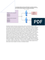 Prueba Técnica V2