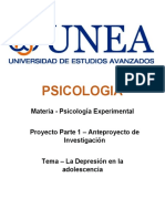 Pe1 - Anteproyecto de Investigacion