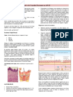 Motivos de Consulta Frecuente en APS 2