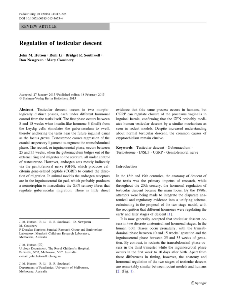 Regulation Testicular Descend PDF Testicle Anatomy