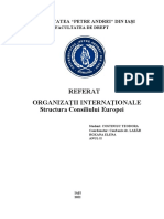 Organizatii Internationale