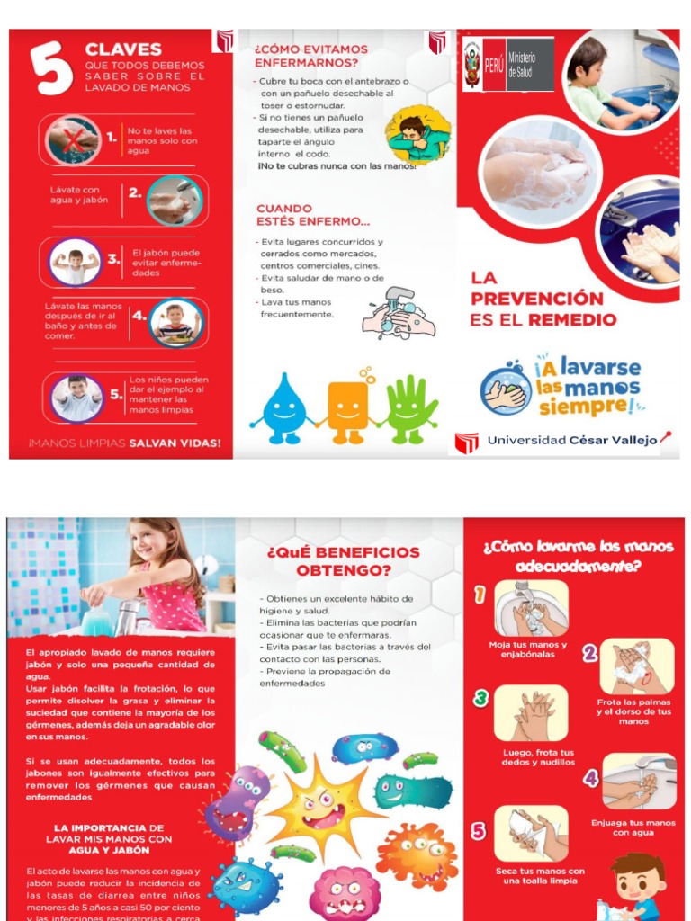 Lavado de Manos Triptico | PDF