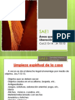 6.SAE1 - C Intermedio - Areas Liberación