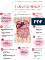 Regiones Abdomino-Pelvicos