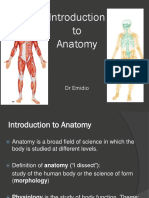 Anatomia Emidio