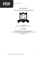 Download BTEX Contamination and Remediation by manasyp SN60184654 doc pdf