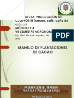 Manejo de plantaciones de cacao