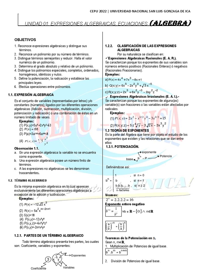 Expresiones Algebraicas y Polinomios | PDF | División (Matemáticas ...