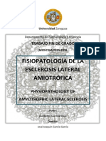 Fisiopatología de La Esclerosis Lateral Amiotrófica: Trabajo Fin de Grado