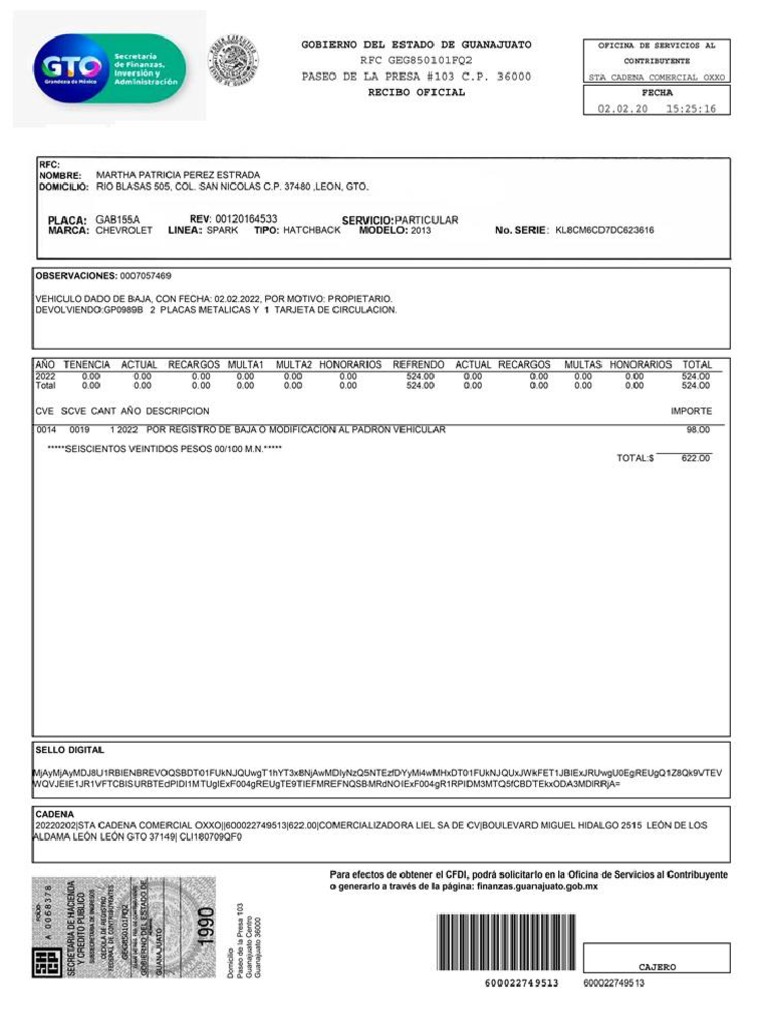 Baja de Auto Guanajuato PDF