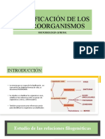 Clasificación de Los Microorganismos