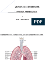 Lecture 3 GA - LARYNX, TRACHEA, BRONCHI