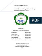 LAPORAN - PRAKTIKUM - Reaksi Gelap Dan Terang-MK - Fispon