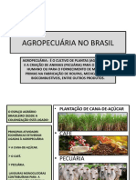 Agropecuária No Brasil