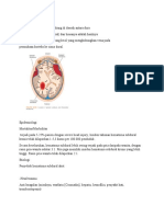 Subdural Hematomaa