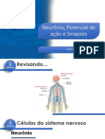 Aula 2 - Neuroanatomia e Neurofisio