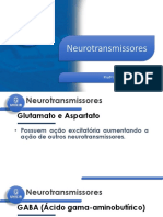 Aula 3 - Neuroanatomia e Neurofisio