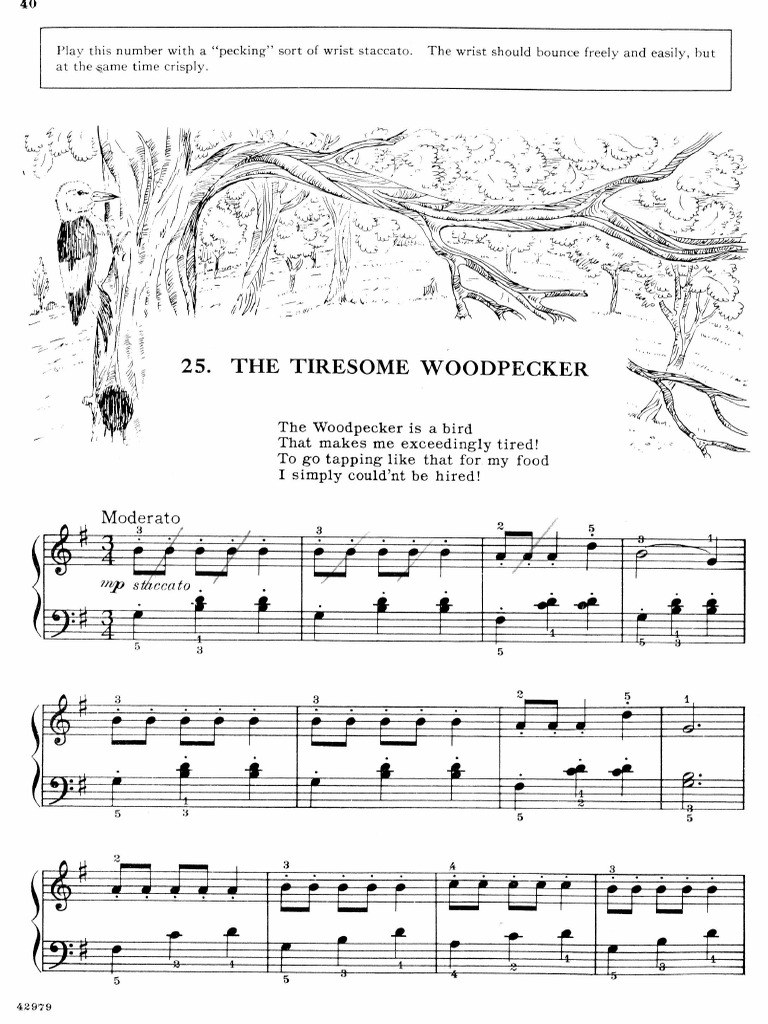 The Tiresome Woodpecker PDF