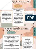 Competencias en Materia de Amparo