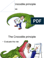 The Crocodile Principle