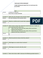 MUSCULAR SYSTEM WORKSHEET Slides 1 To 4