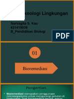 Bioteknologi Lingkungan - Nursagita S. Kau - 431419036 - B